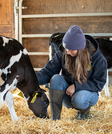 Milked with love: How dairy farmers make ethical dairy farming their priority