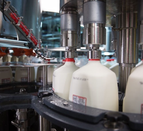 Machine testing the milk quality